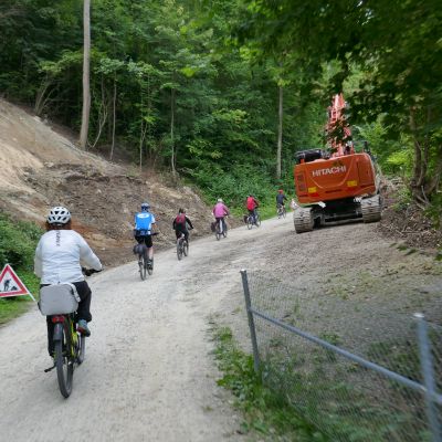 008 hinauf zum Schloss Laufen